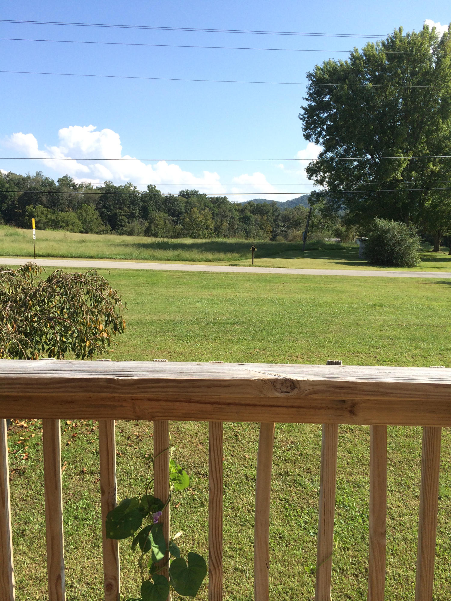 165 Rocky Branch Road Rutledge, TN 37861 - Photo 22 of 33 veiw from deck
