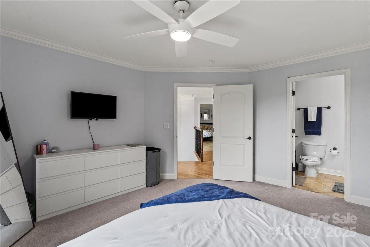 18745 Bluff Point Road Cornelius, NC 28031 - Photo 27 of 47