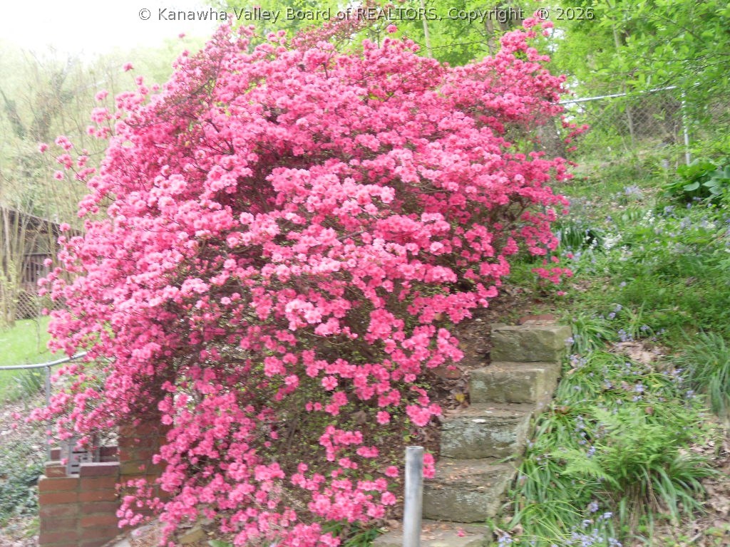 100 Pine Manor Road Charleston, WV 25311 - Photo 25 of 26 Gallery Image 25