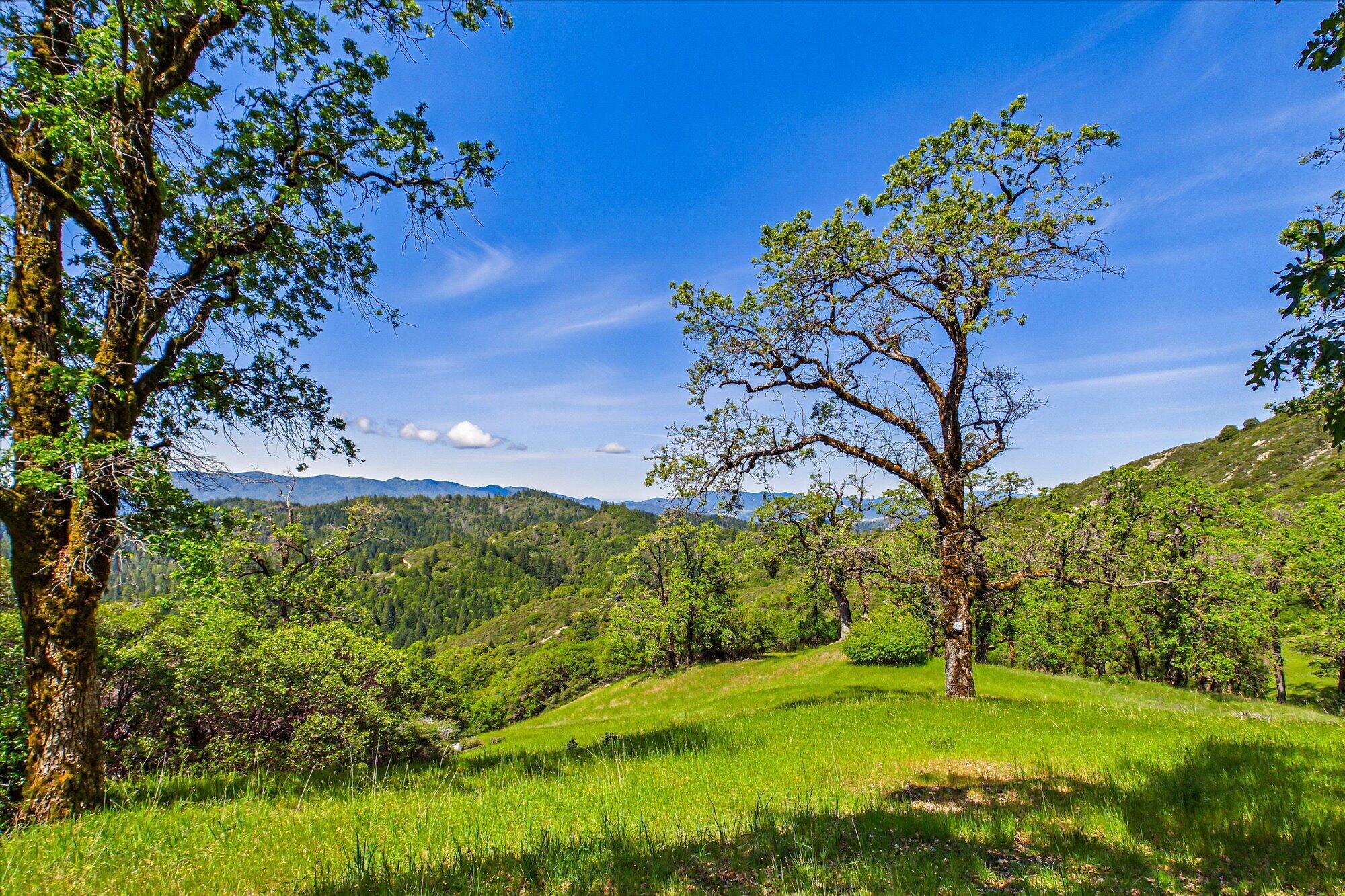 3450 Laytonville Dos Rios Road Laytonville, CA 95454 - Photo 53 of 98