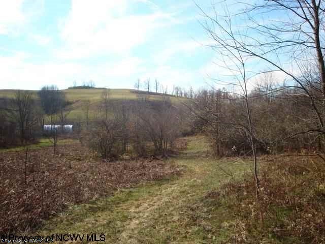 0 Spruce Fork Road Buckhannon, WV 26201 - Photo 6 of 15 Gallery Image 6