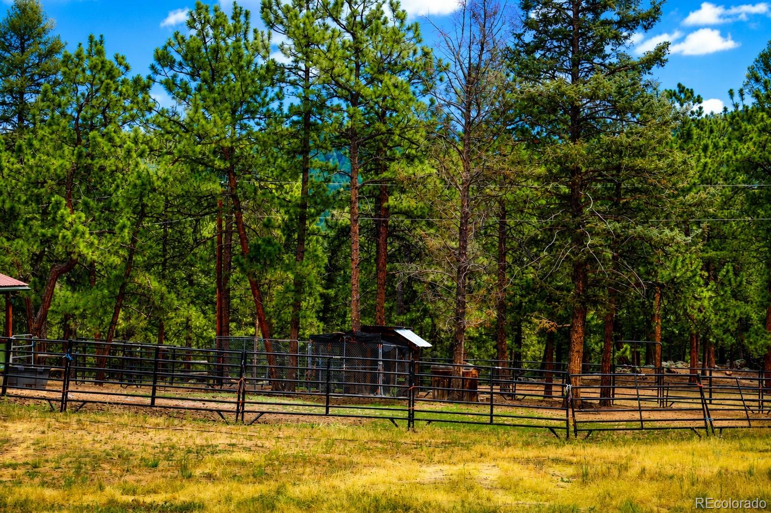 325 Rd D Pine, CO 80470 - Photo 22 of 37 Gallery Image 22