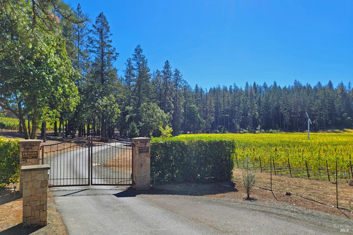 1155 Las Posadas Road Angwin, CA 94508 - Photo 5 of 74
