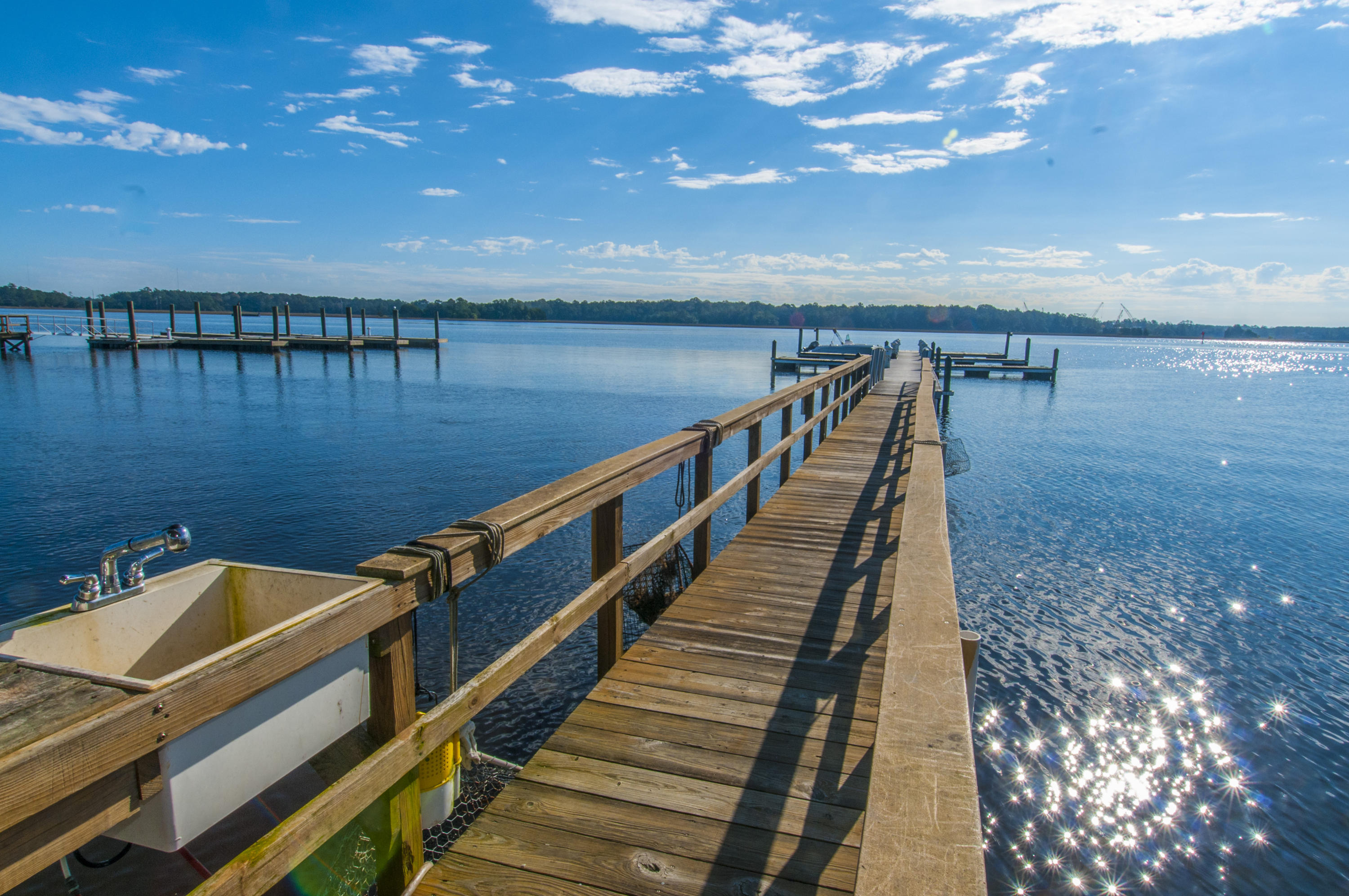 1205 Rivers Reach Drive Charleston, SC 29492 - Photo 41 of 43 Community Dock