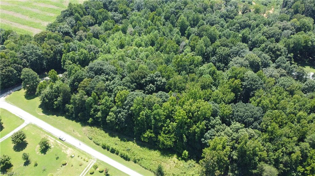 0 Keely Lane Climax, NC 27233 - Photo 2 of 8