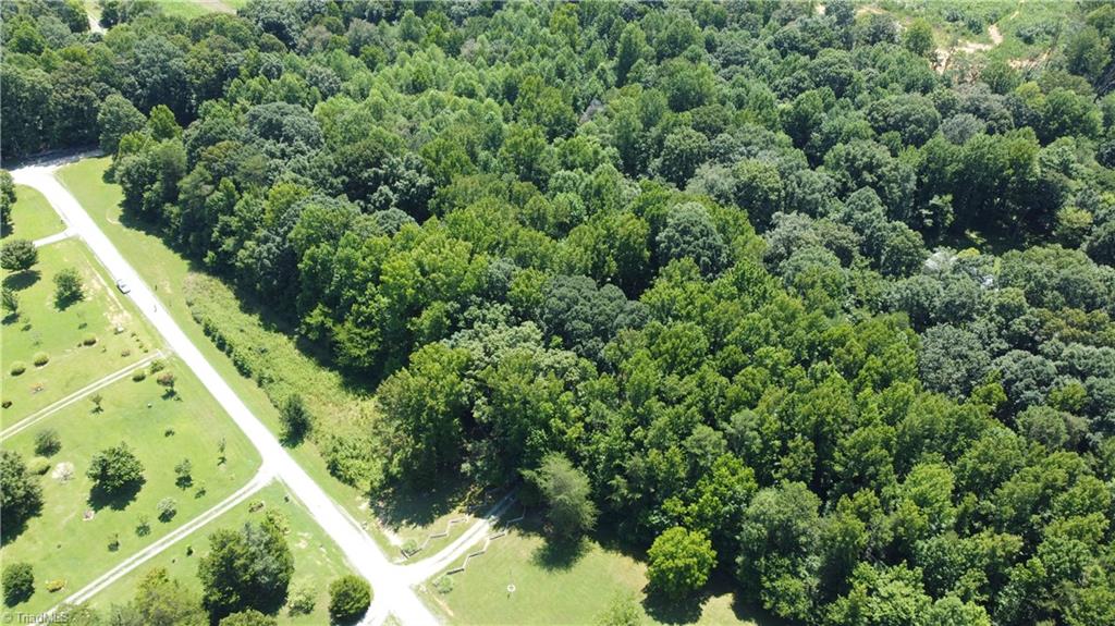 0 Keely Lane Climax, NC 27233 - Photo 3 of 8