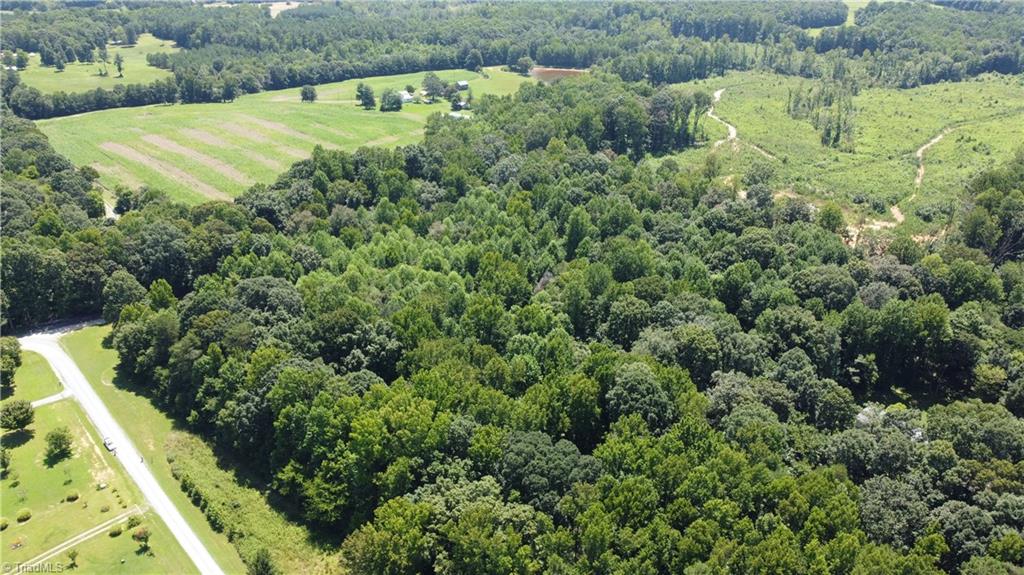 0 Keely Lane Climax, NC 27233 - Photo 4 of 8