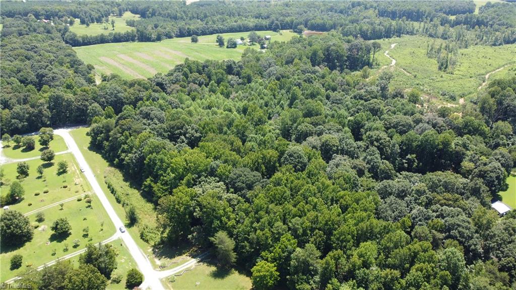 0 Keely Lane Climax, NC 27233 - Photo 5 of 8