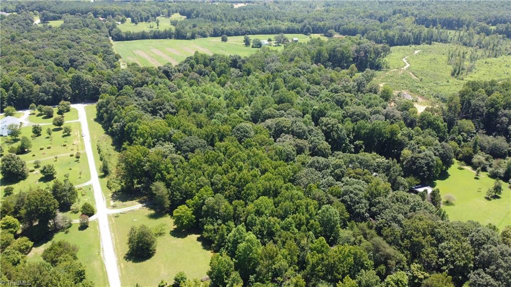 0 Keely Lane Climax, NC 27233 - Photo 6 of 8