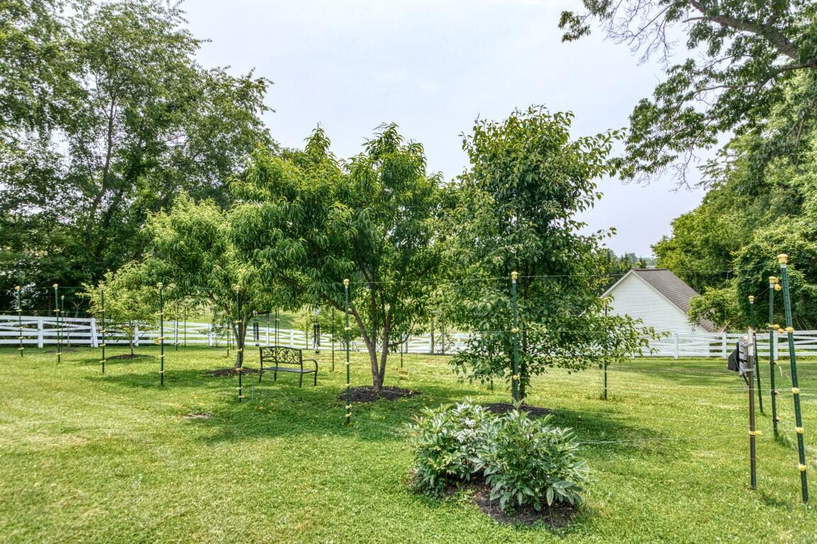 1908 Peppers Ferry Road Pulaski, VA 24301 - Photo 45 of 66 1908-Peppers-Ferry-Rd-Pulaski-11