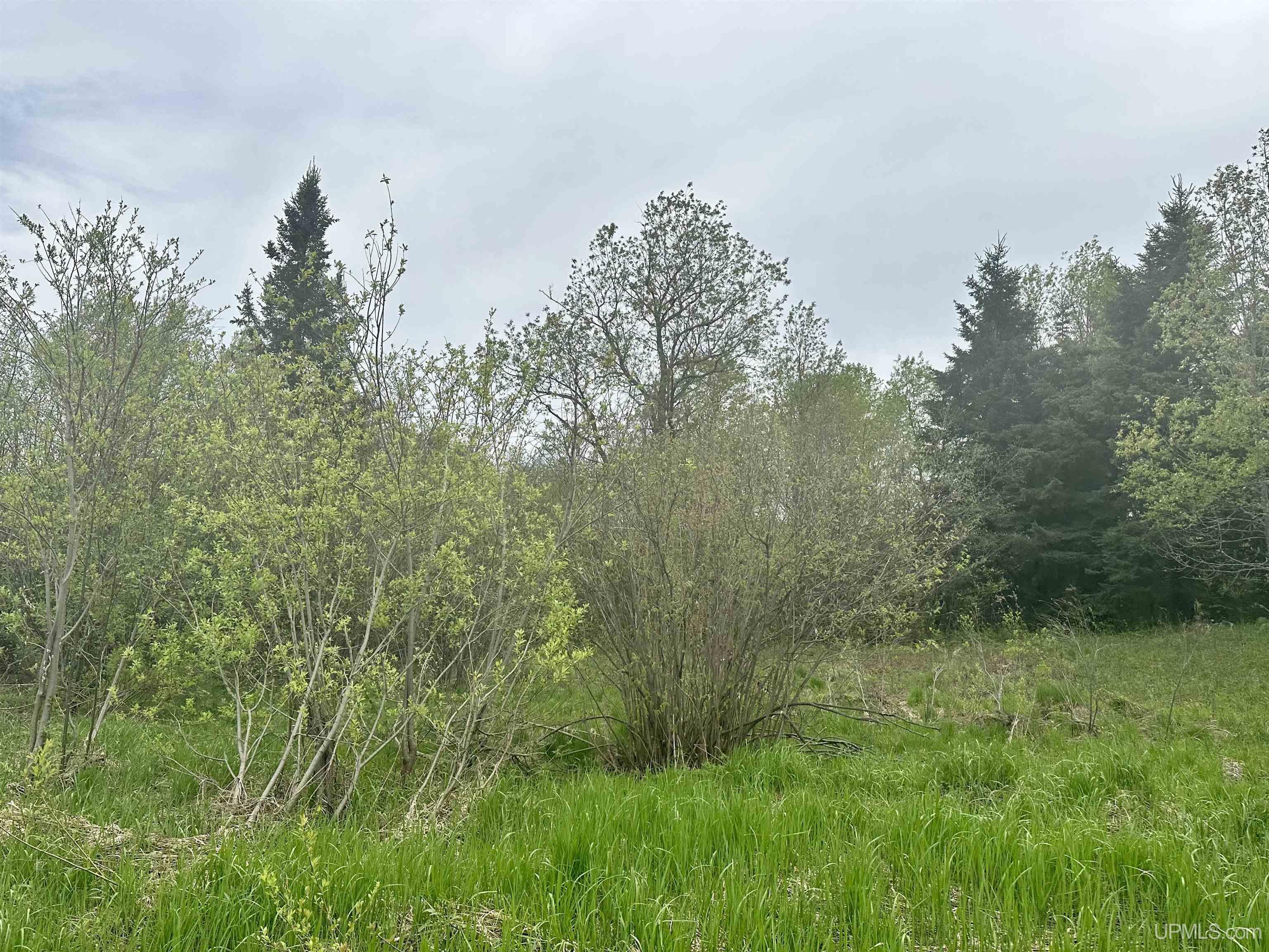 Dunham Road Wakefield, MI 49968 - Photo 2 of 29 Gallery Image 2