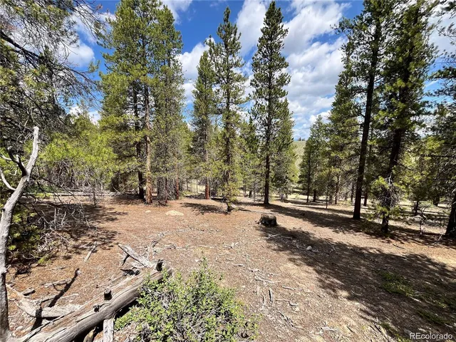 a view of a tree with a yard