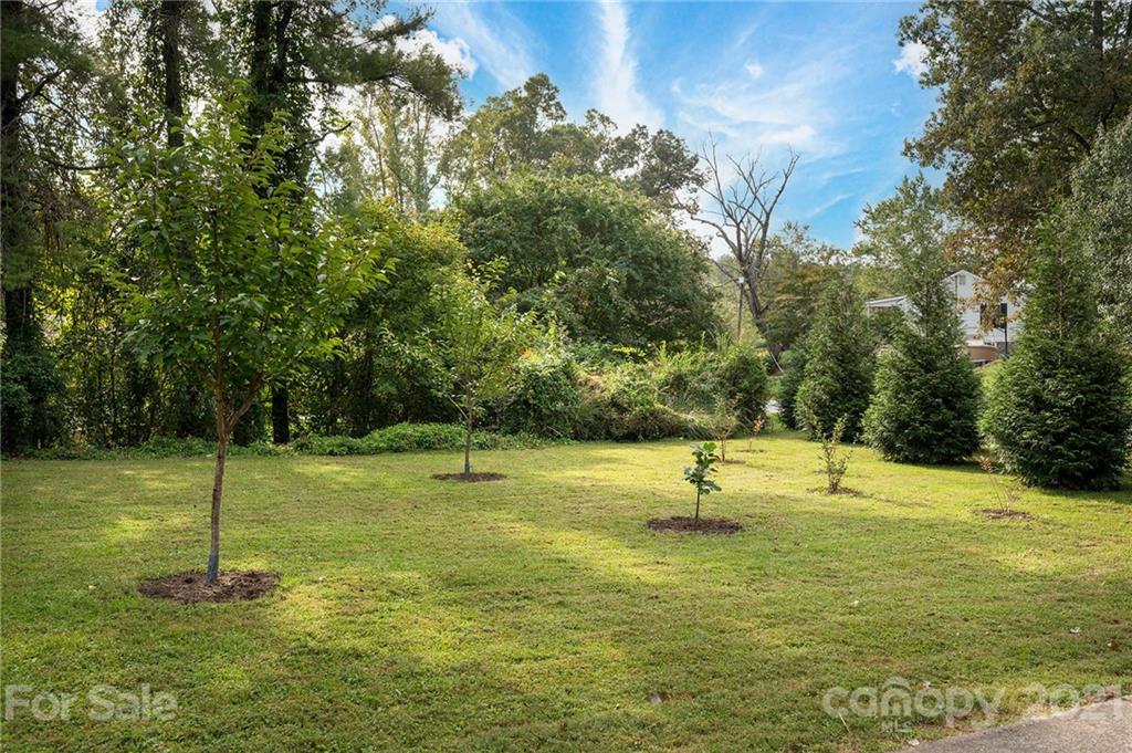 38 Reese Road Asheville, NC 28805 - Photo 2 of 33 Gallery Image 2