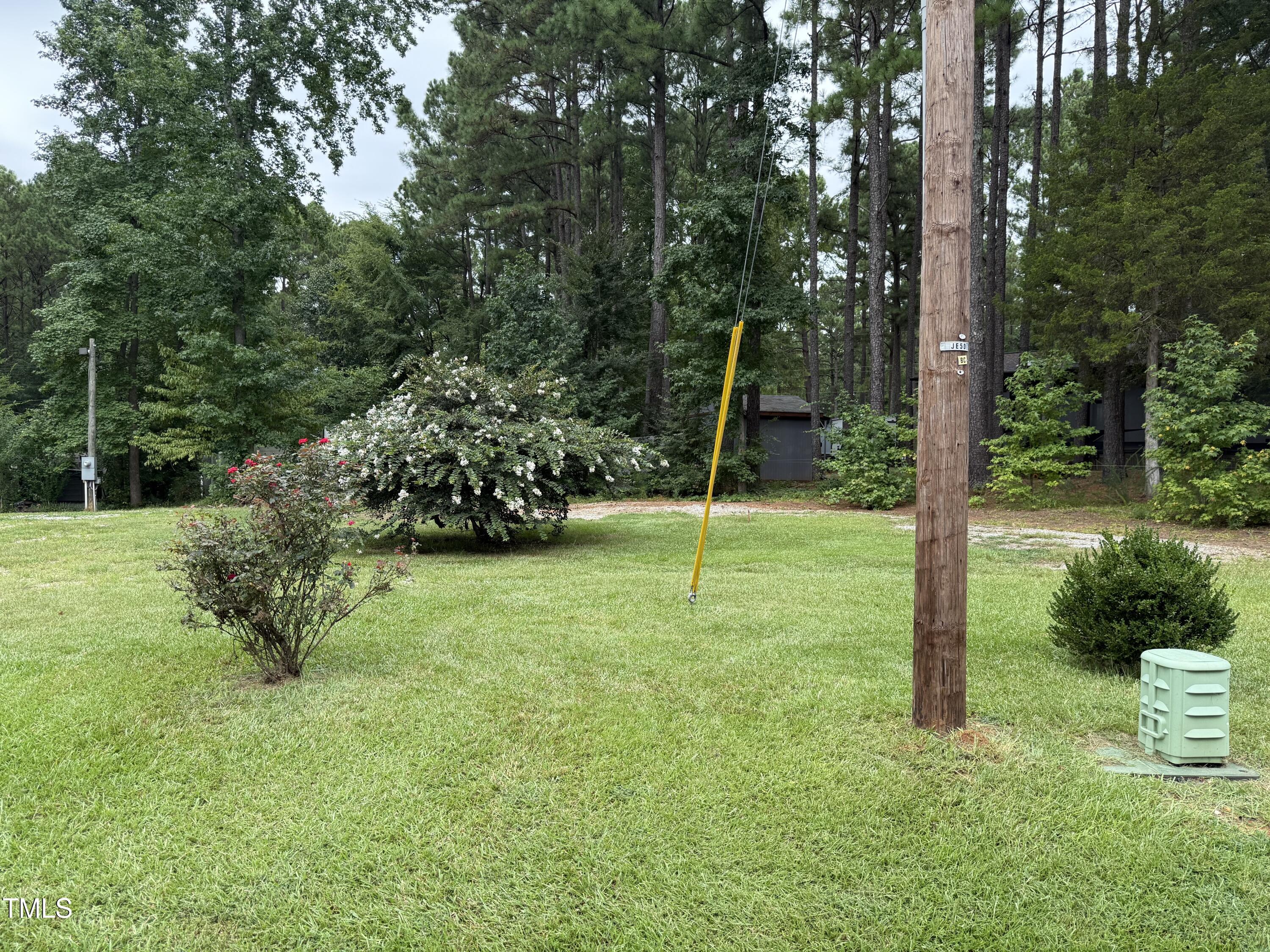 124 Kansas Drive Spring Hope, NC 27882 - Photo 3 of 10 a view of a park with a tree
