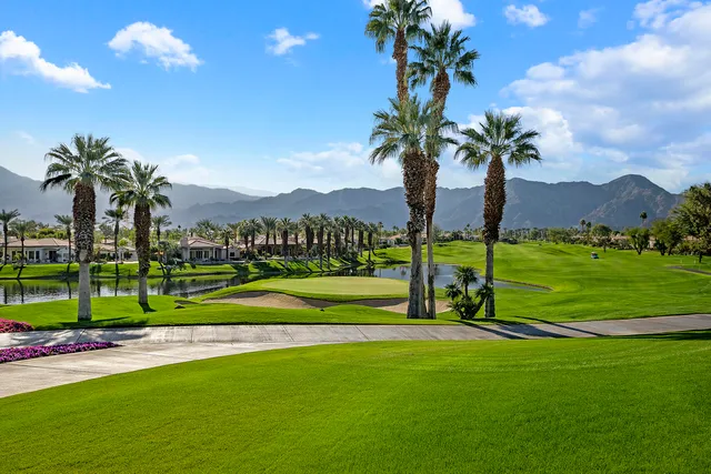 a view of a park with large trees