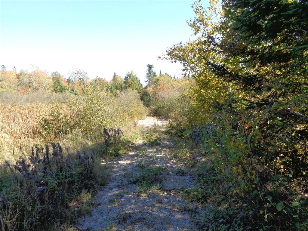 Lot 2 Off Point Street Addison, ME 04606 - Photo 3 of 18 Photo