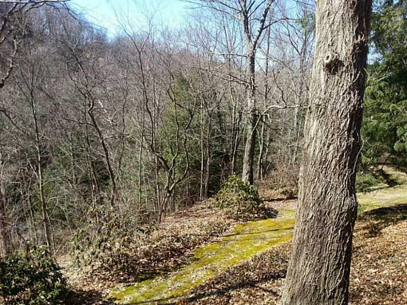 209 Furnace Run Road Freeport, PA 16229 - Photo 2 of 24 Yard/Garden.