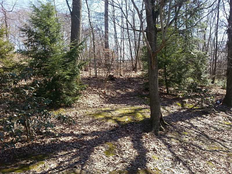 209 Furnace Run Road Freeport, PA 16229 - Photo 18 of 24 Yard/Garden.