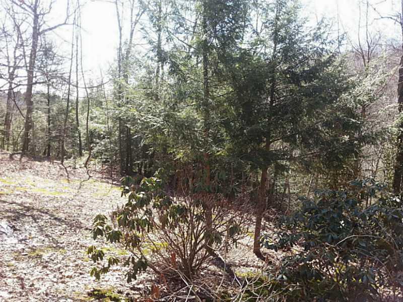 209 Furnace Run Road Freeport, PA 16229 - Photo 19 of 24 Land.