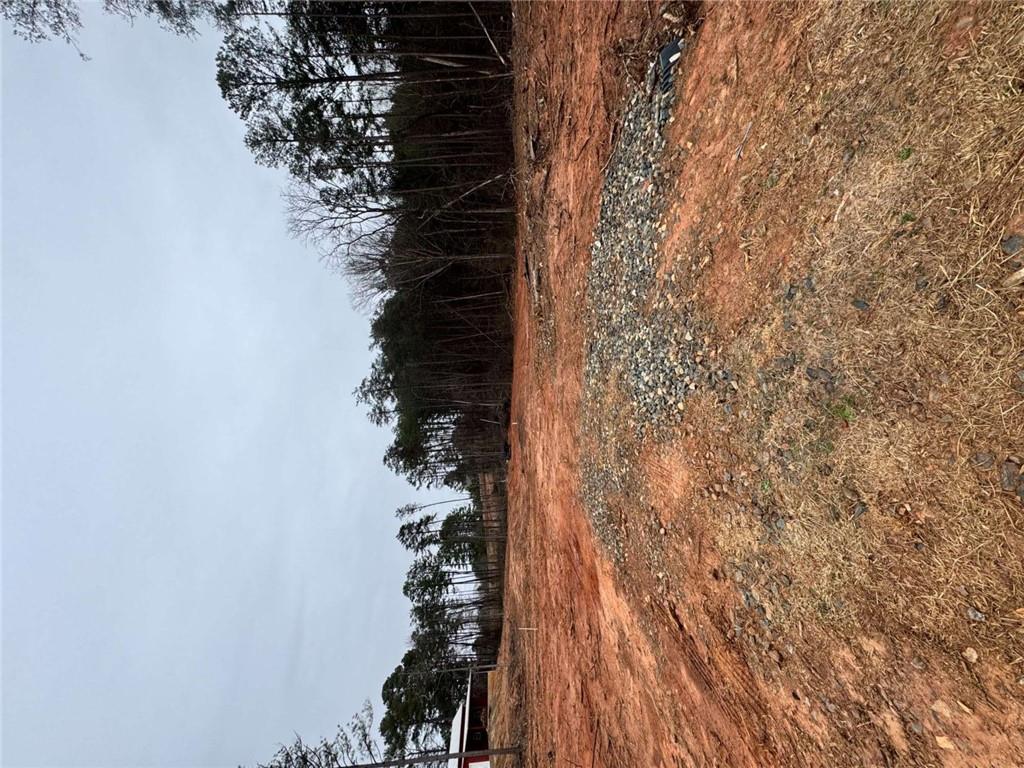 0 Scott Road Eastanollee, GA 30538 - Photo 4 of 4
