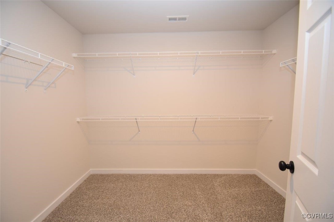 8729 Carters Mill Road Henrico, VA 23231 - Photo 4 of 33 Spacious closet with carpet flooring