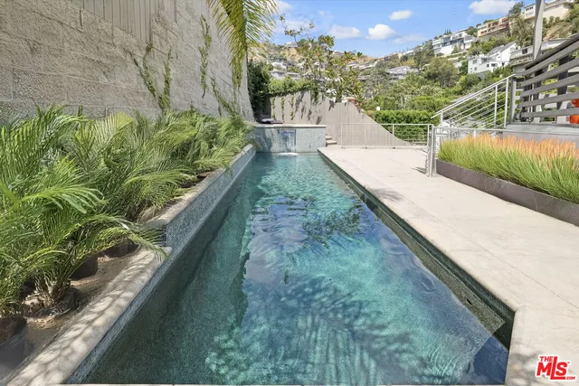 a view of a yard with plants