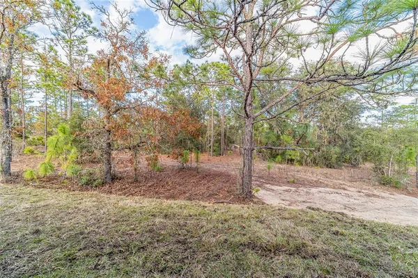 a view of a yard with tree s