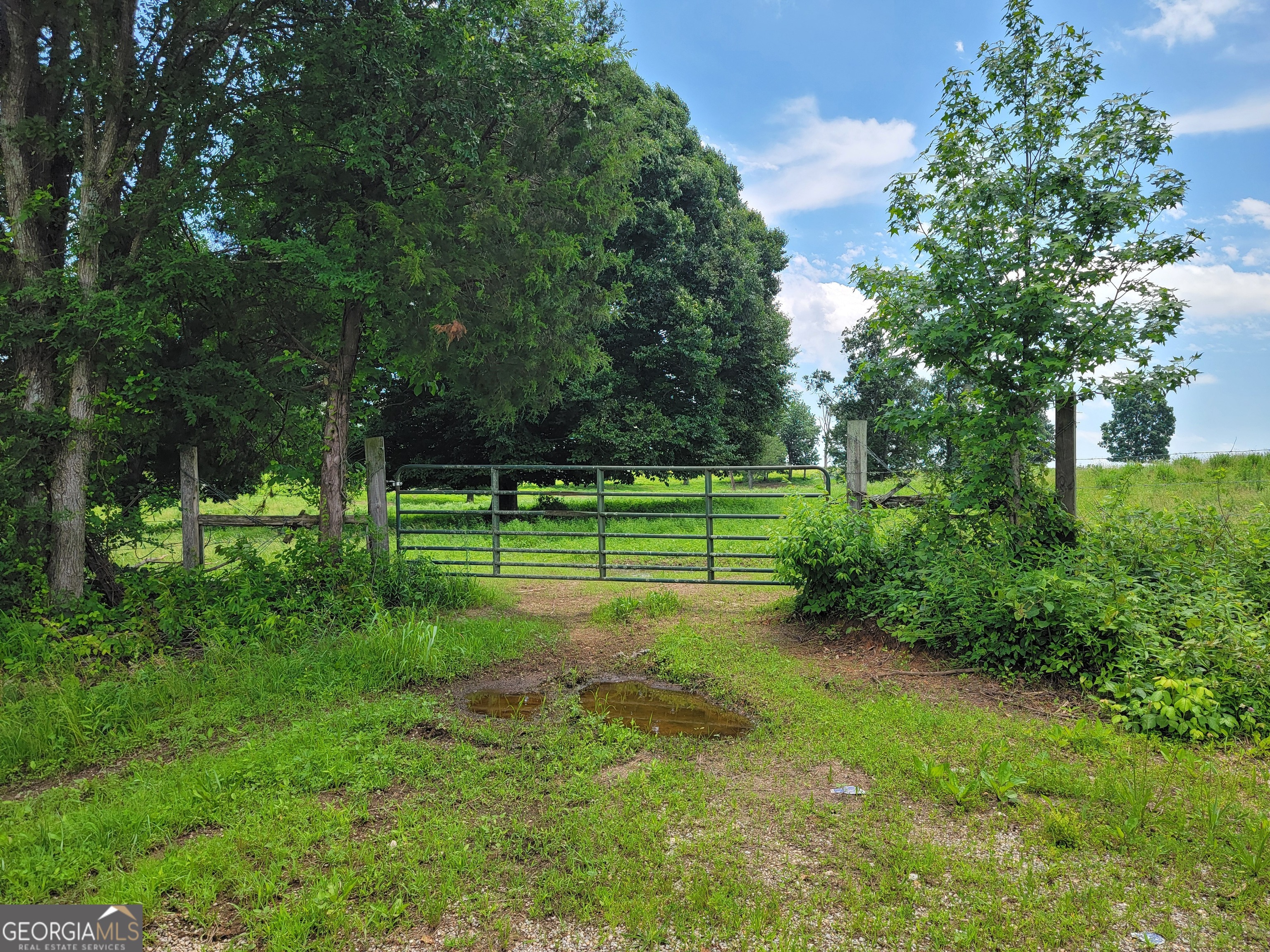 0 Co Road Gaylesville, AL 35973 - Photo 11 of 81