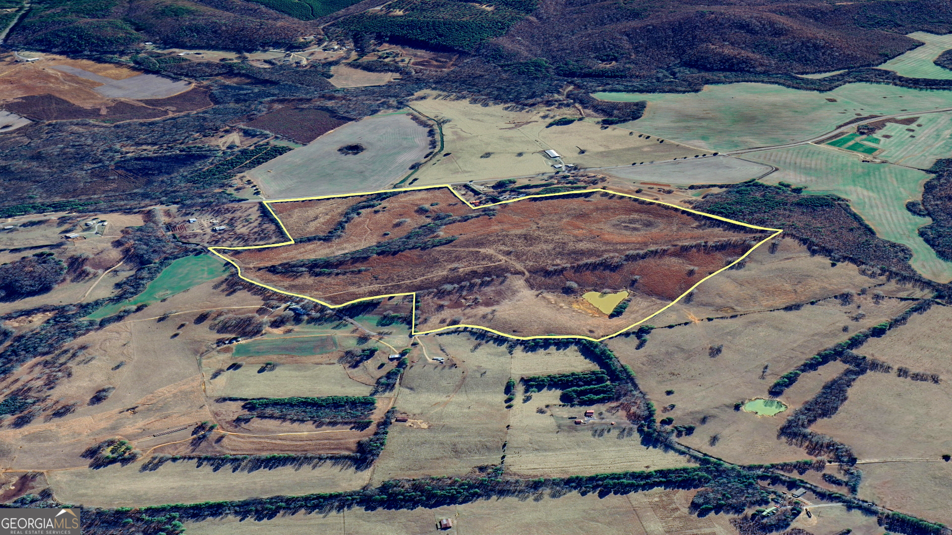 0 Co Road Gaylesville, AL 35973 - Photo 14 of 81 a view of a backyard with furniture