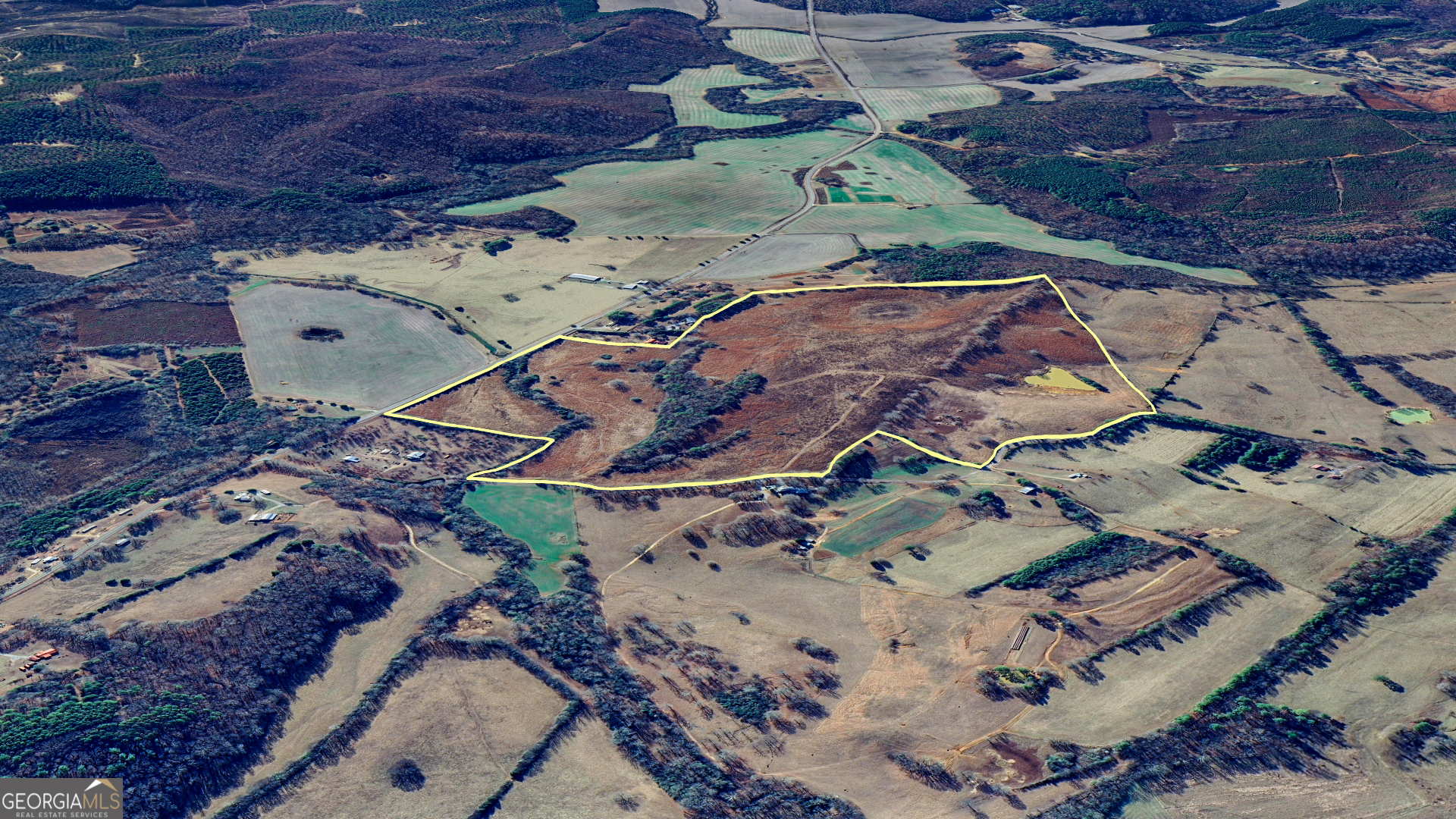 0 Co Road Gaylesville, AL 35973 - Photo 15 of 81