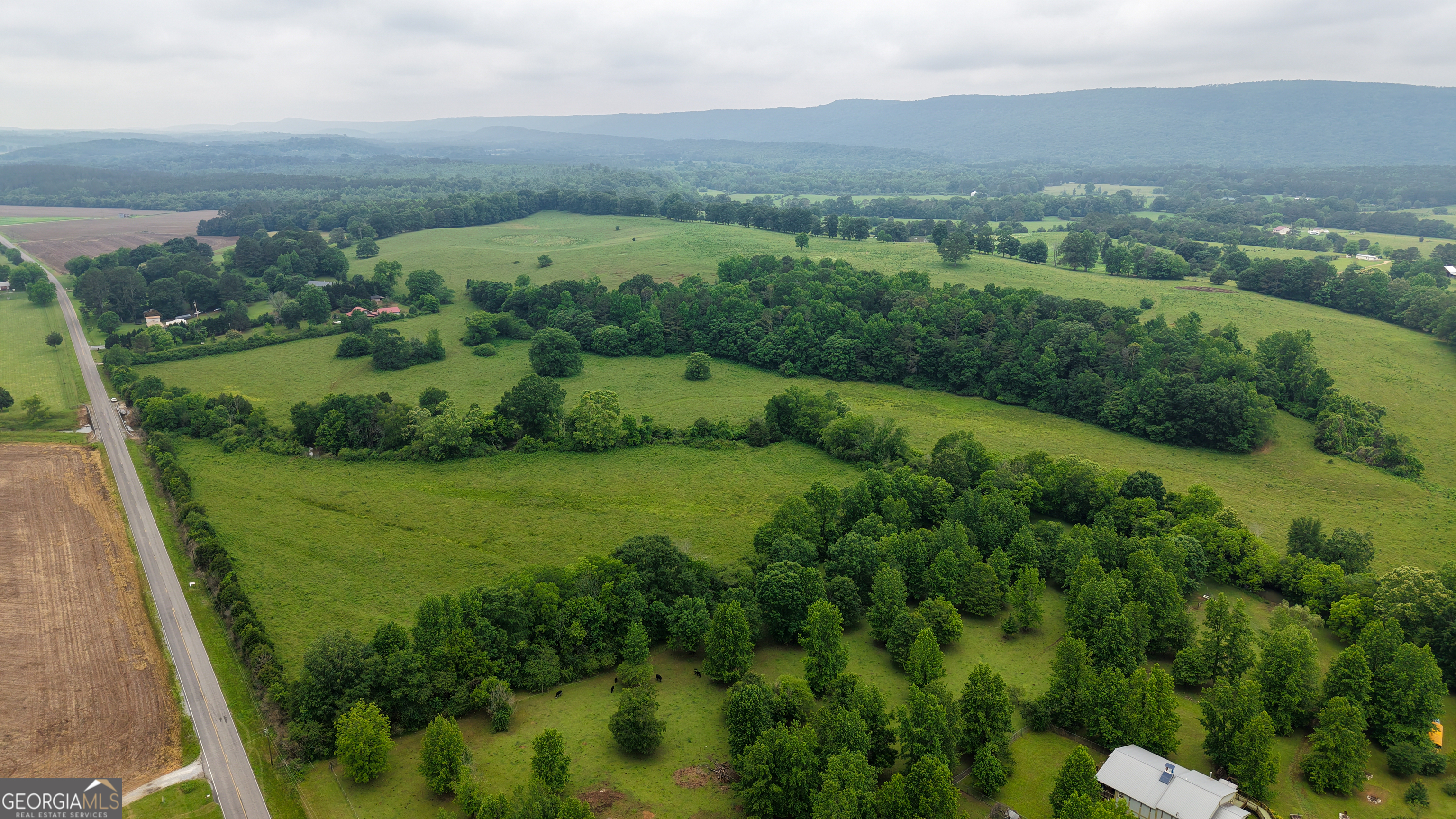 0 Co Road Gaylesville, AL 35973 - Photo 20 of 81 an aerial view of green landscape with trees houses and mountain view