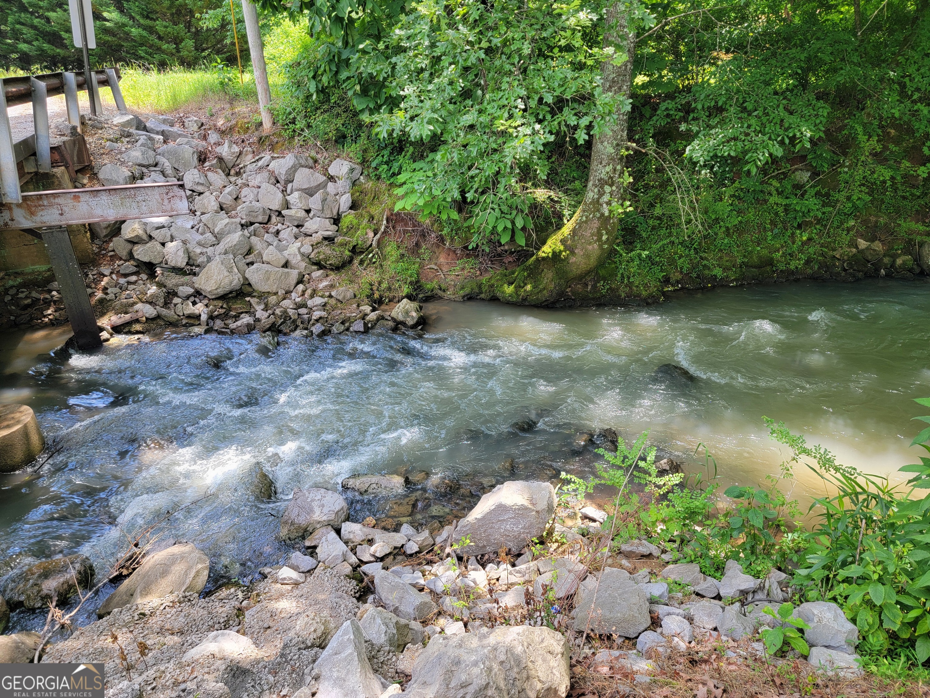0 Co Road Gaylesville, AL 35973 - Photo 2 of 81 a view of a lake with lots of trees