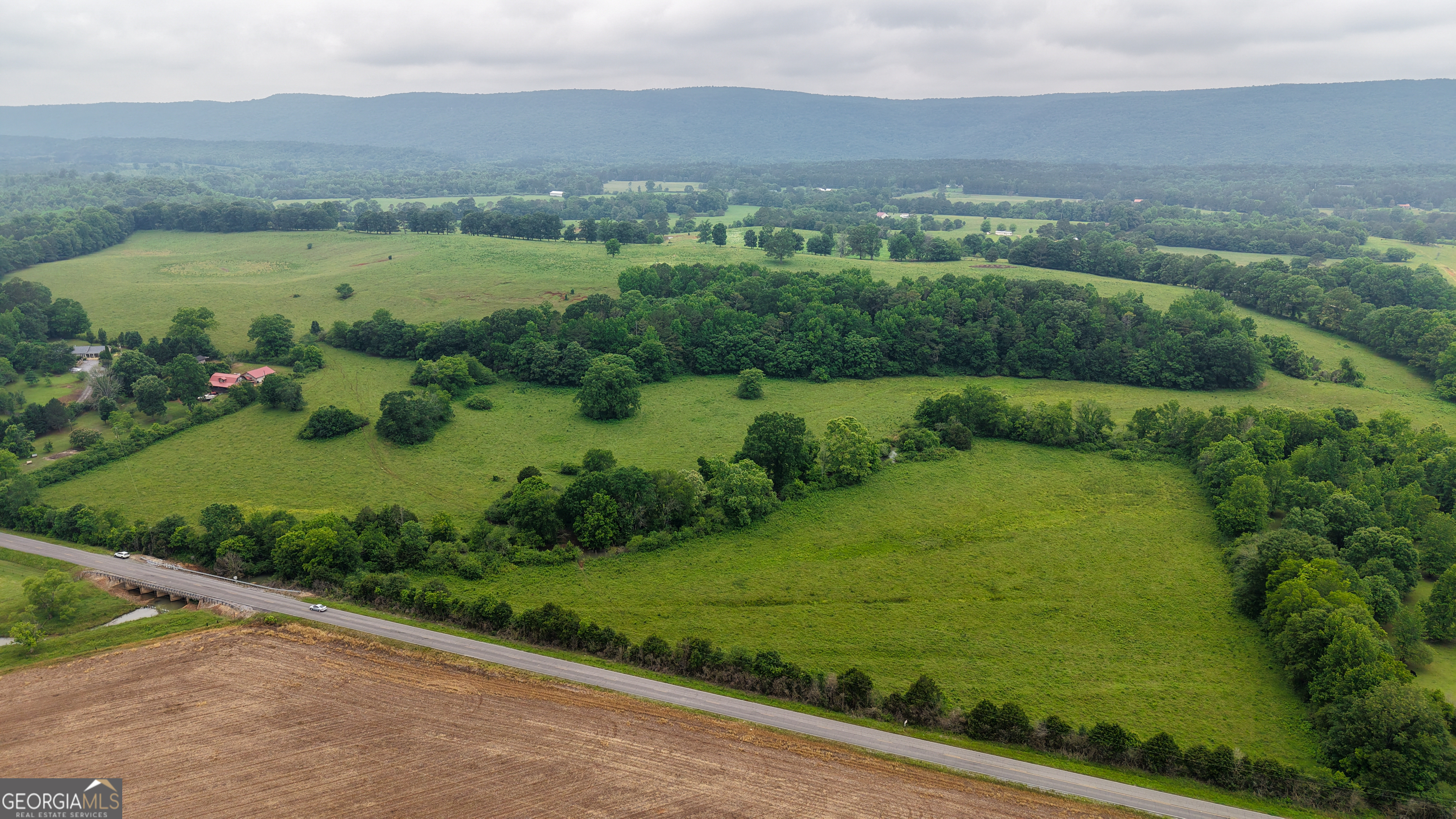 0 Co Road Gaylesville, AL 35973 - Photo 21 of 81
