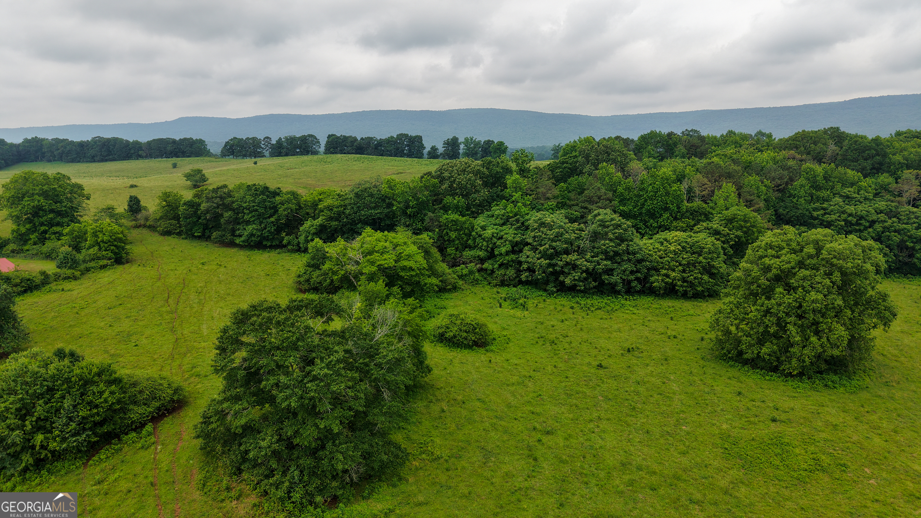 0 Co Road Gaylesville, AL 35973 - Photo 23 of 81 a view of a lake with a city