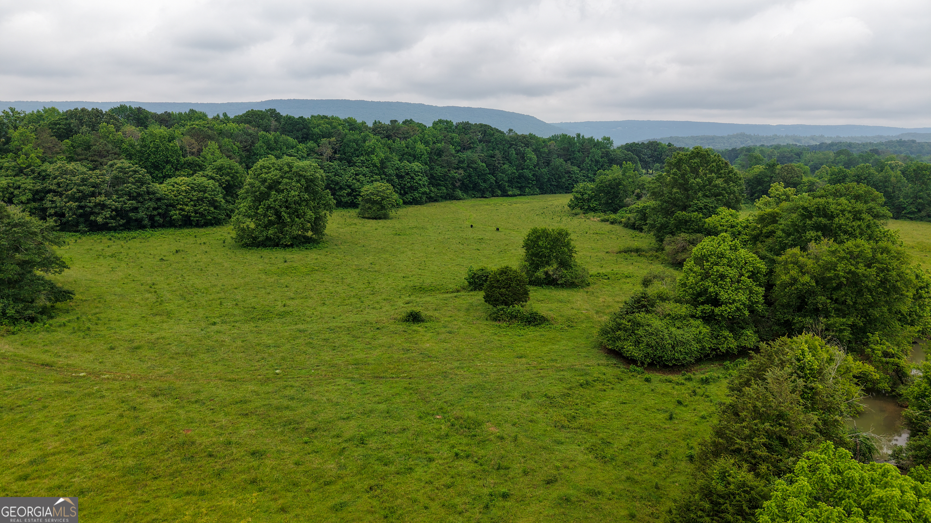 0 Co Road Gaylesville, AL 35973 - Photo 25 of 81 a view of a garden with a building in front of it