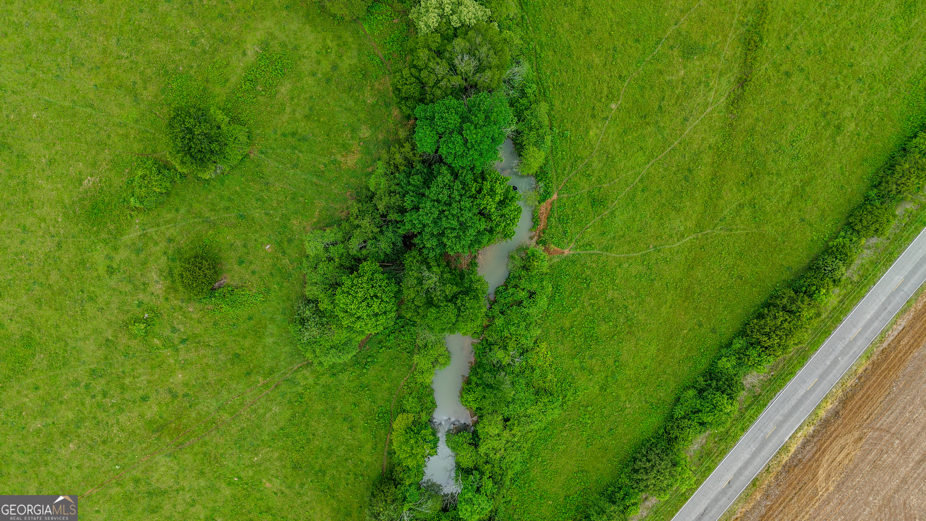 0 Co Road Gaylesville, AL 35973 - Photo 26 of 81