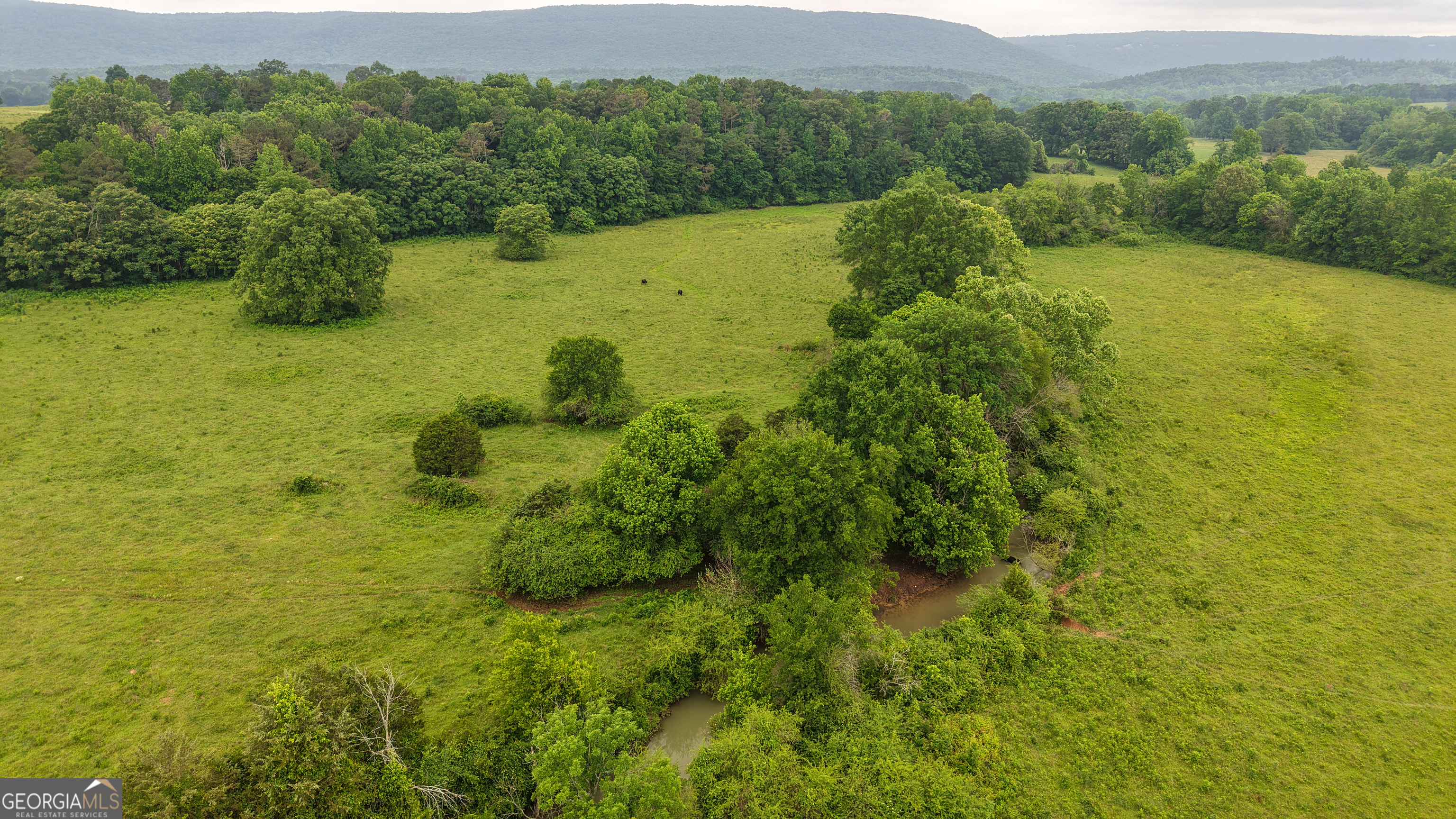0 Co Road Gaylesville, AL 35973 - Photo 27 of 81