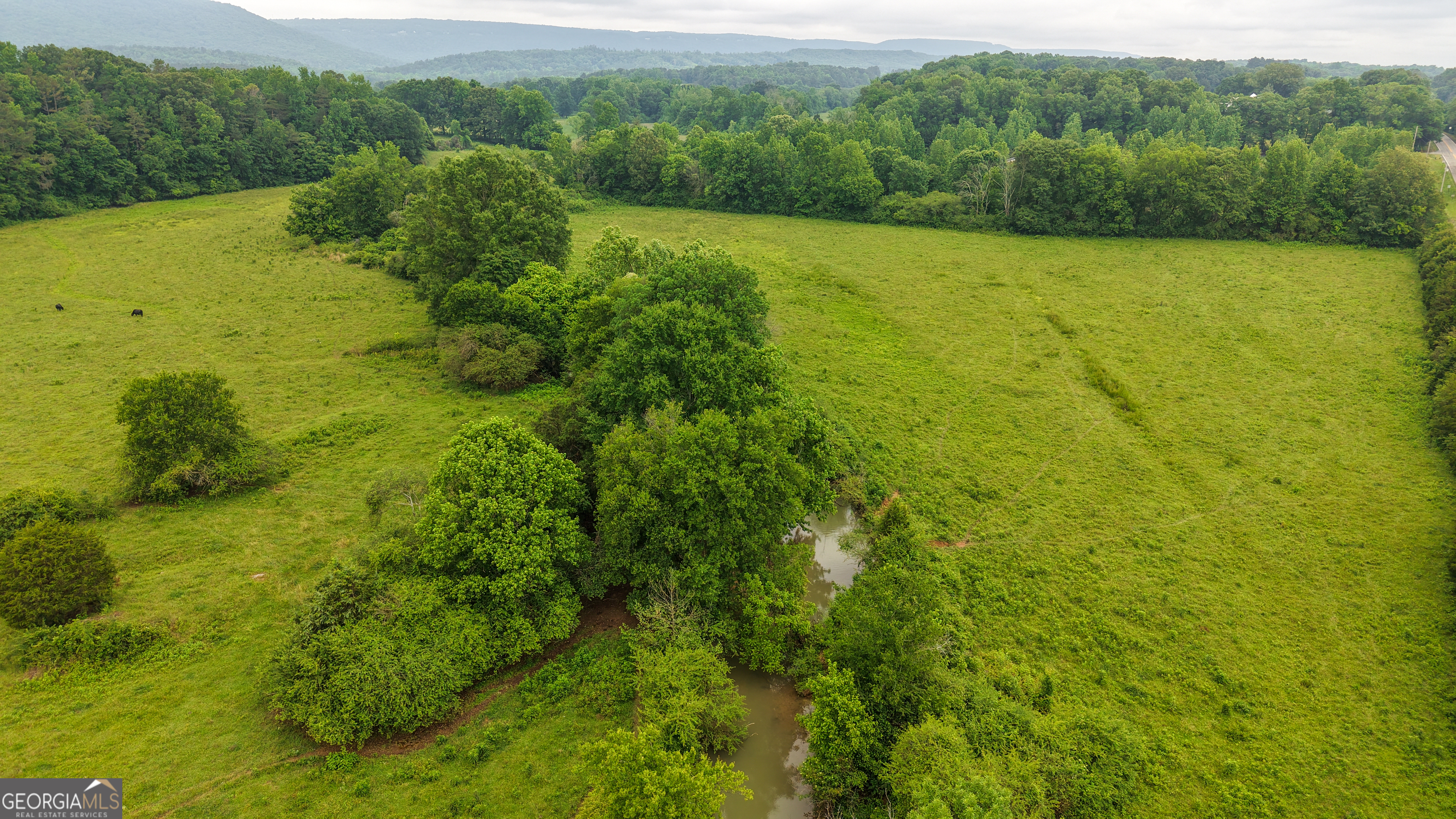 0 Co Road Gaylesville, AL 35973 - Photo 28 of 81 a view of a green yard with a lake view