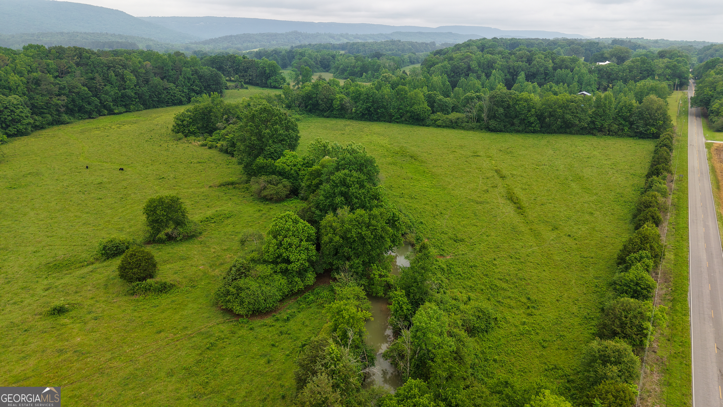 0 Co Road Gaylesville, AL 35973 - Photo 29 of 81