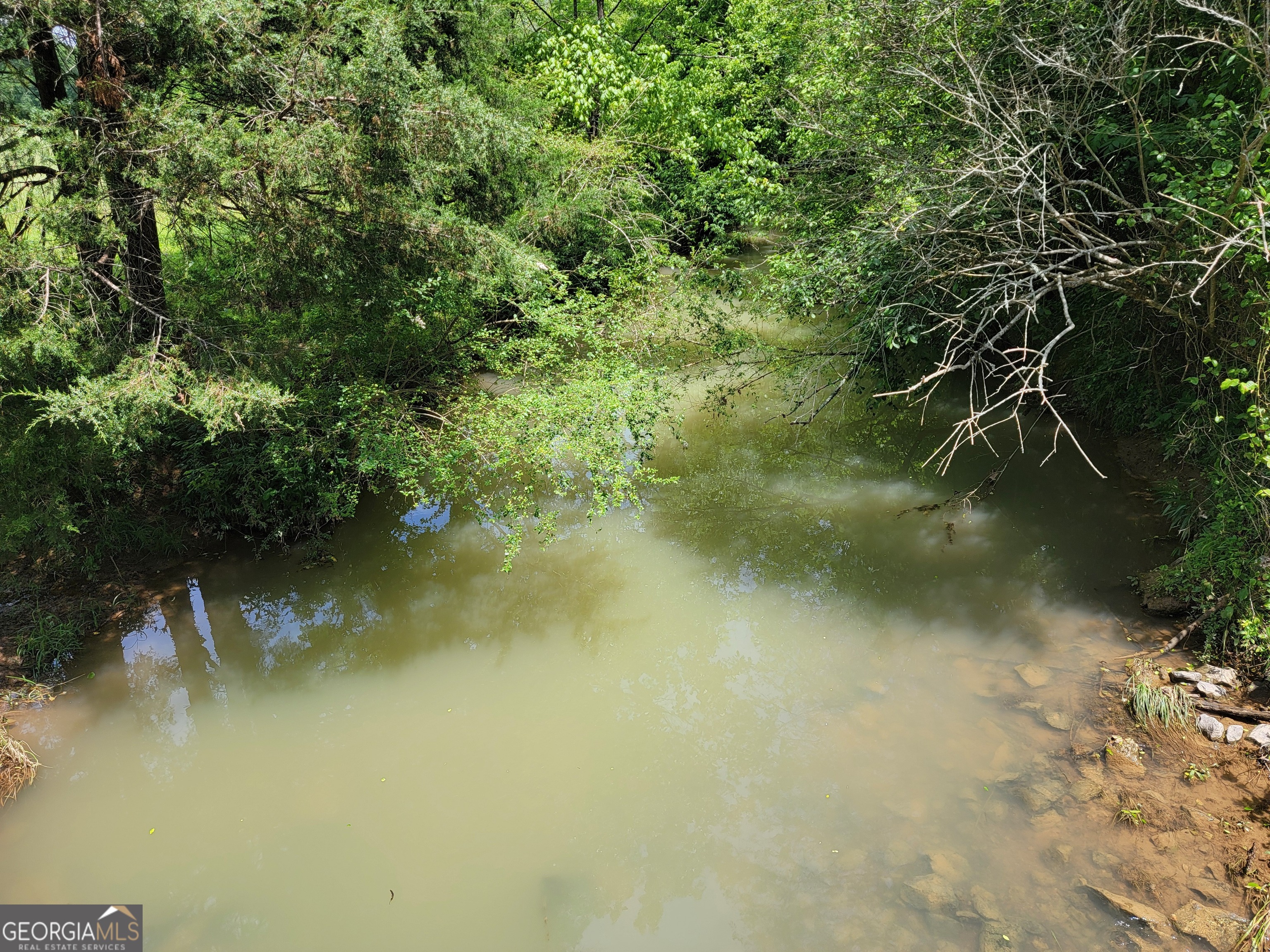 0 Co Road Gaylesville, AL 35973 - Photo 3 of 81