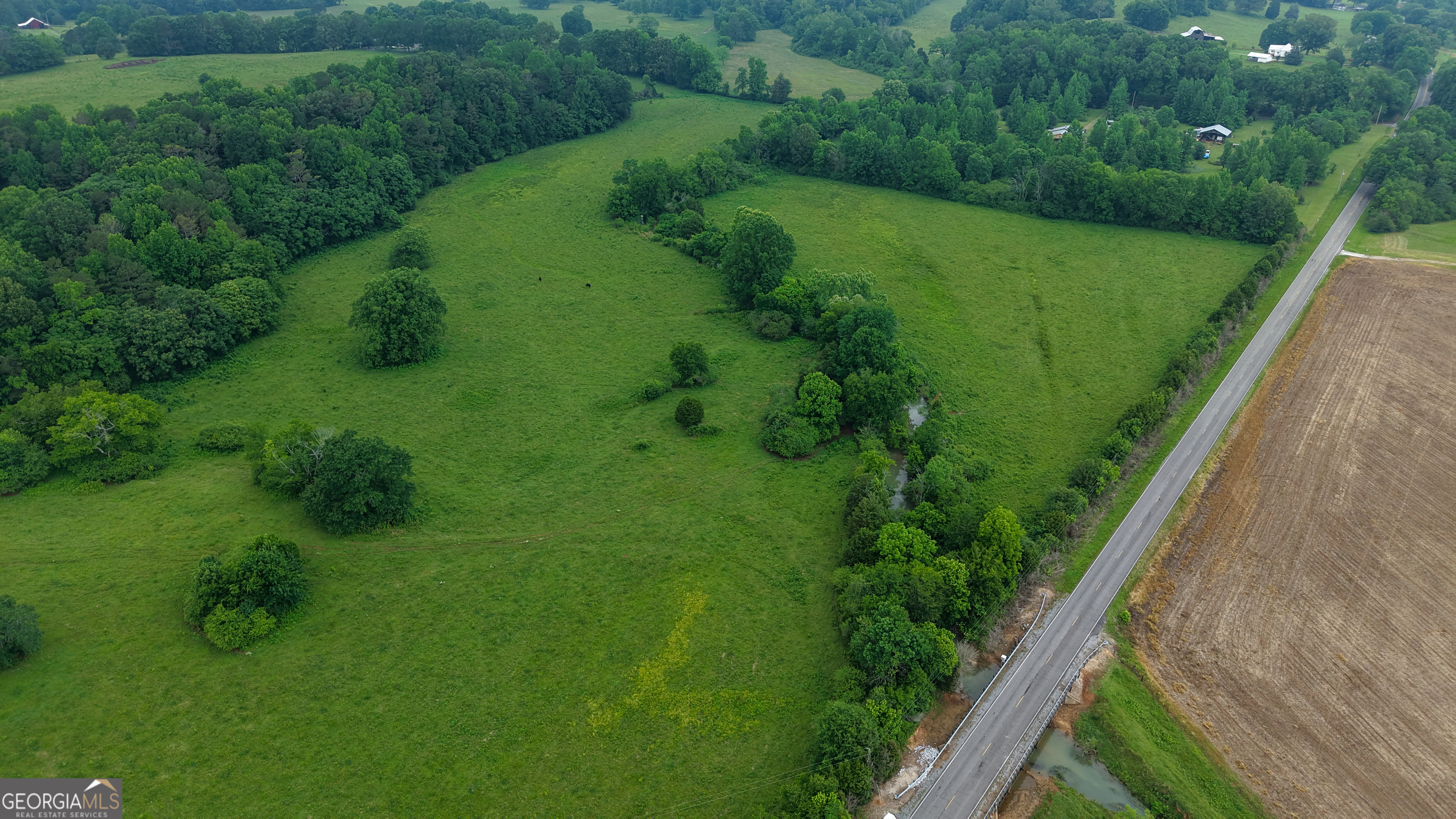0 Co Road Gaylesville, AL 35973 - Photo 31 of 81 a view of a green yard