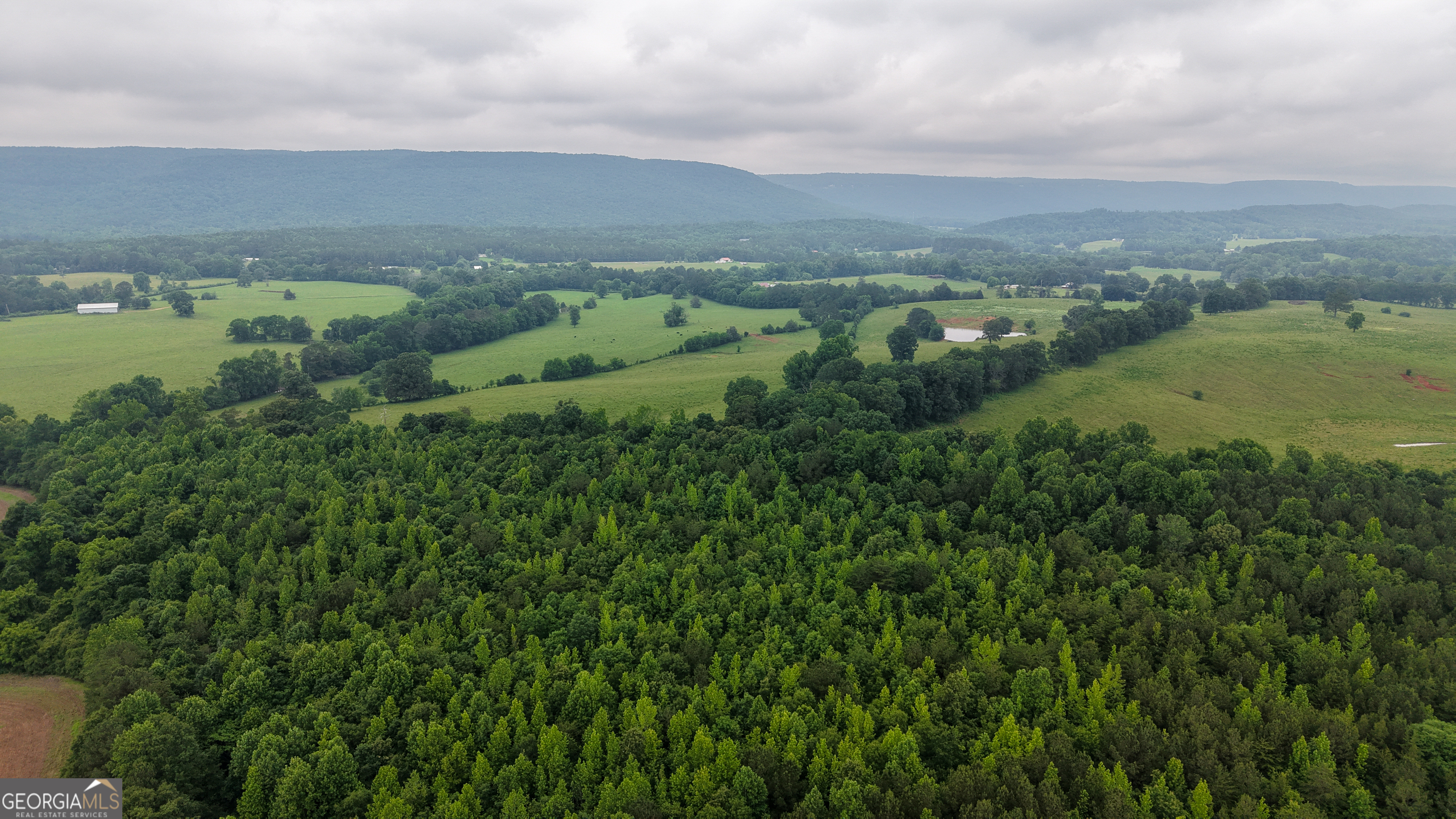 0 Co Road Gaylesville, AL 35973 - Photo 36 of 81 an aerial view of residential houses with outdoor space and trees