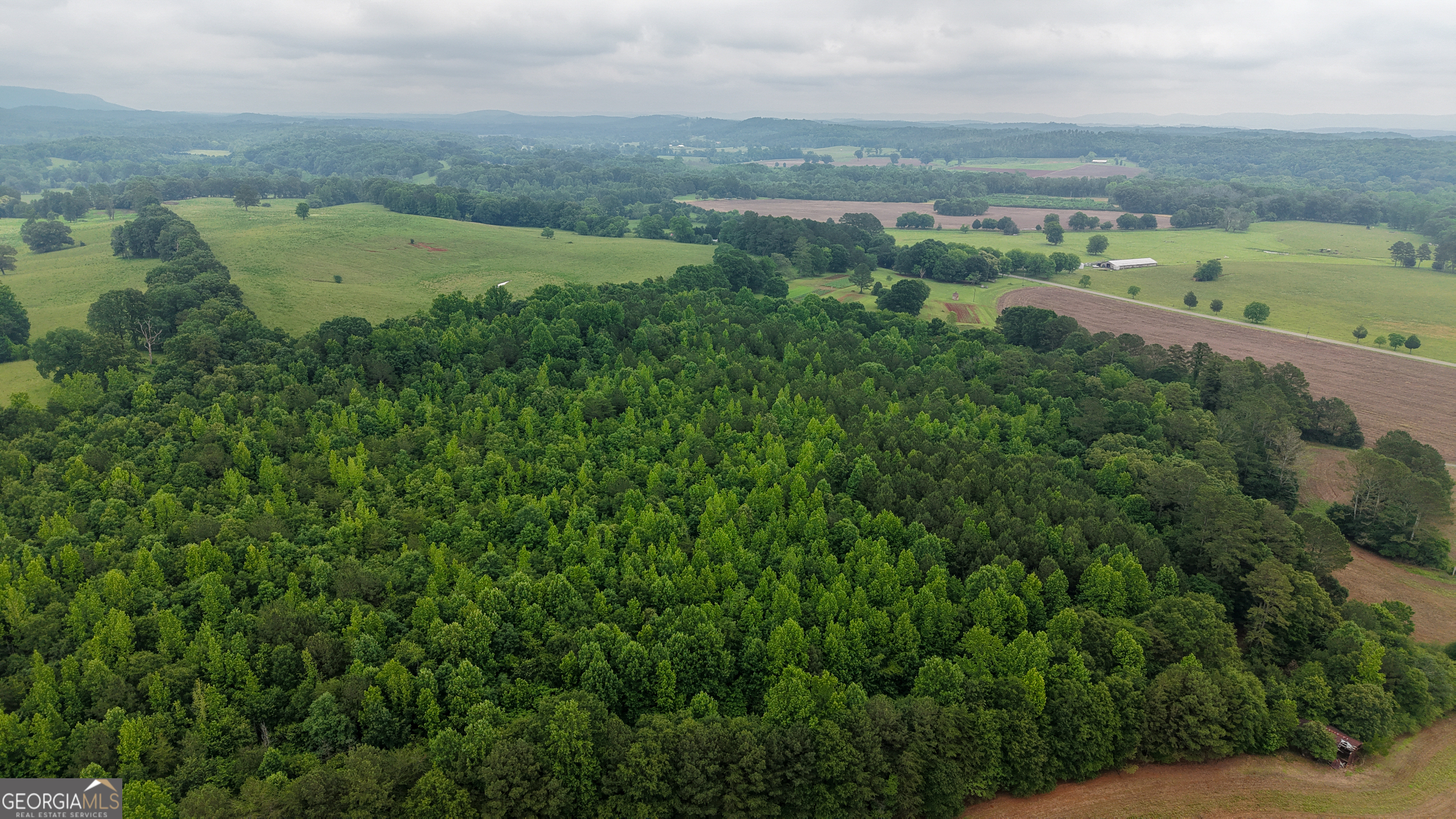 0 Co Road Gaylesville, AL 35973 - Photo 37 of 81 an aerial view of a houses with a lake view