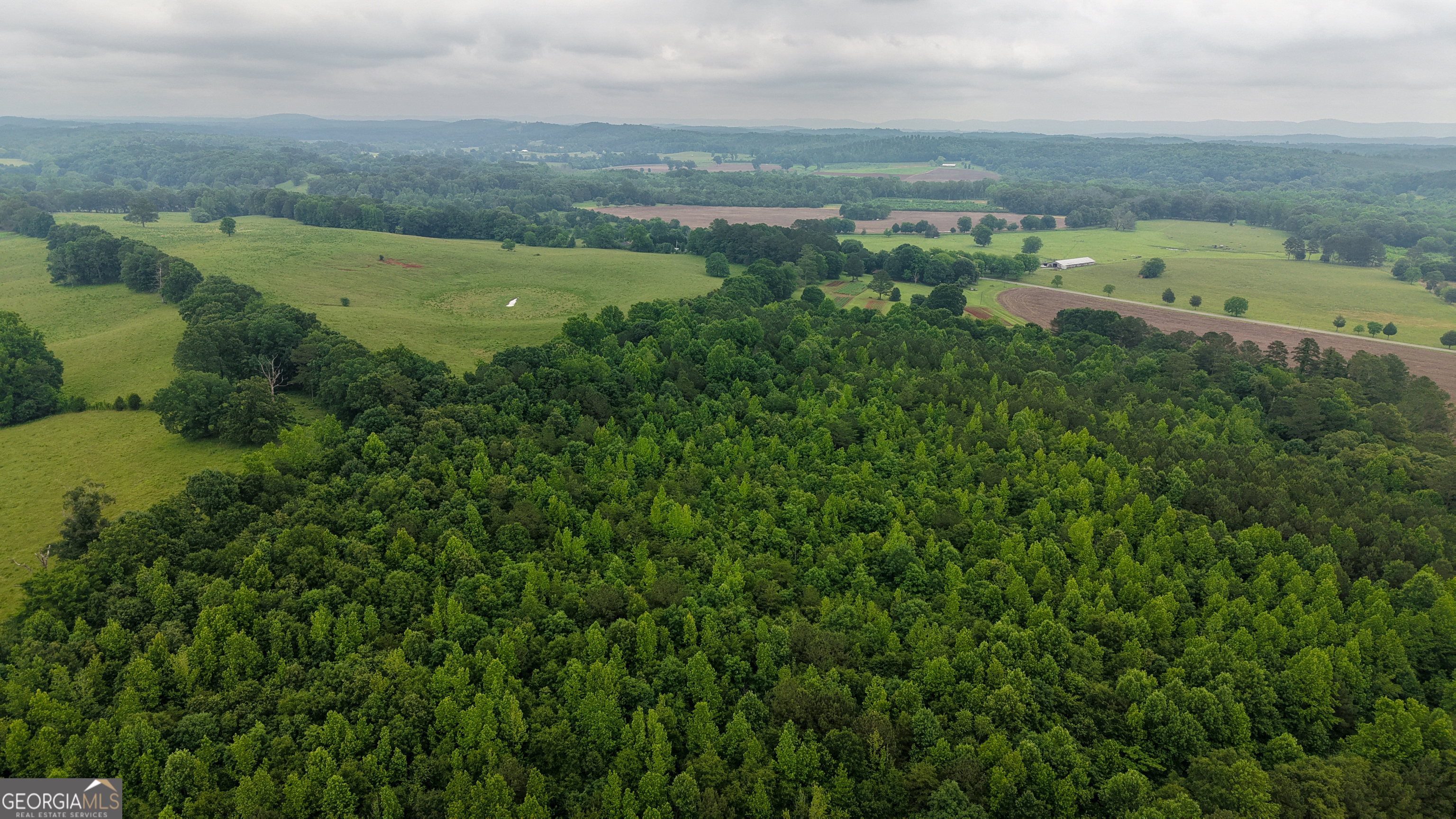 0 Co Road Gaylesville, AL 35973 - Photo 38 of 81 an aerial view of a house with a yard