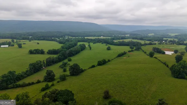 a view of a green field with trees in the background