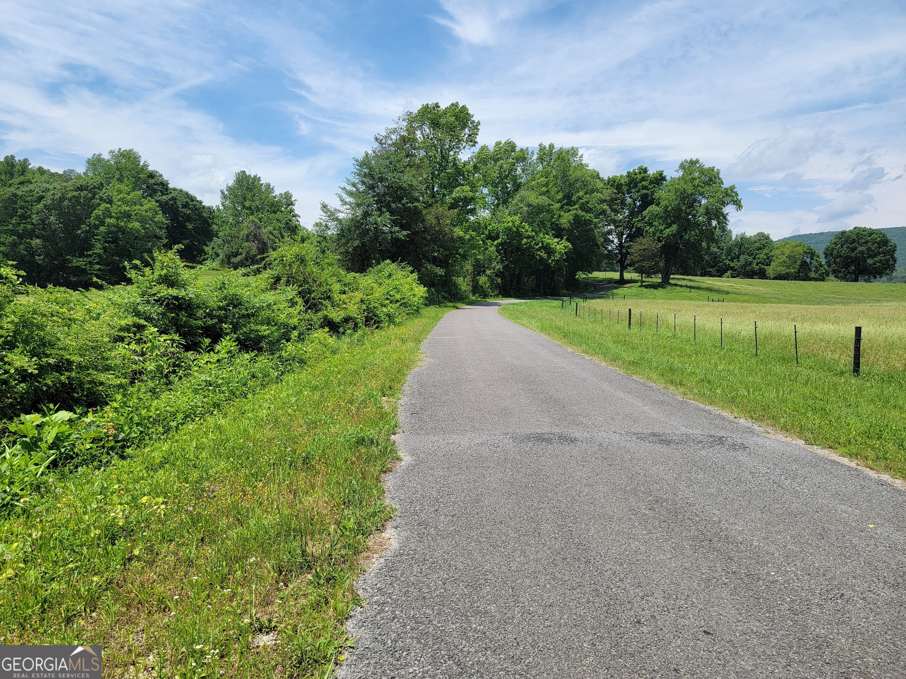 0 Co Road Gaylesville, AL 35973 - Photo 4 of 81