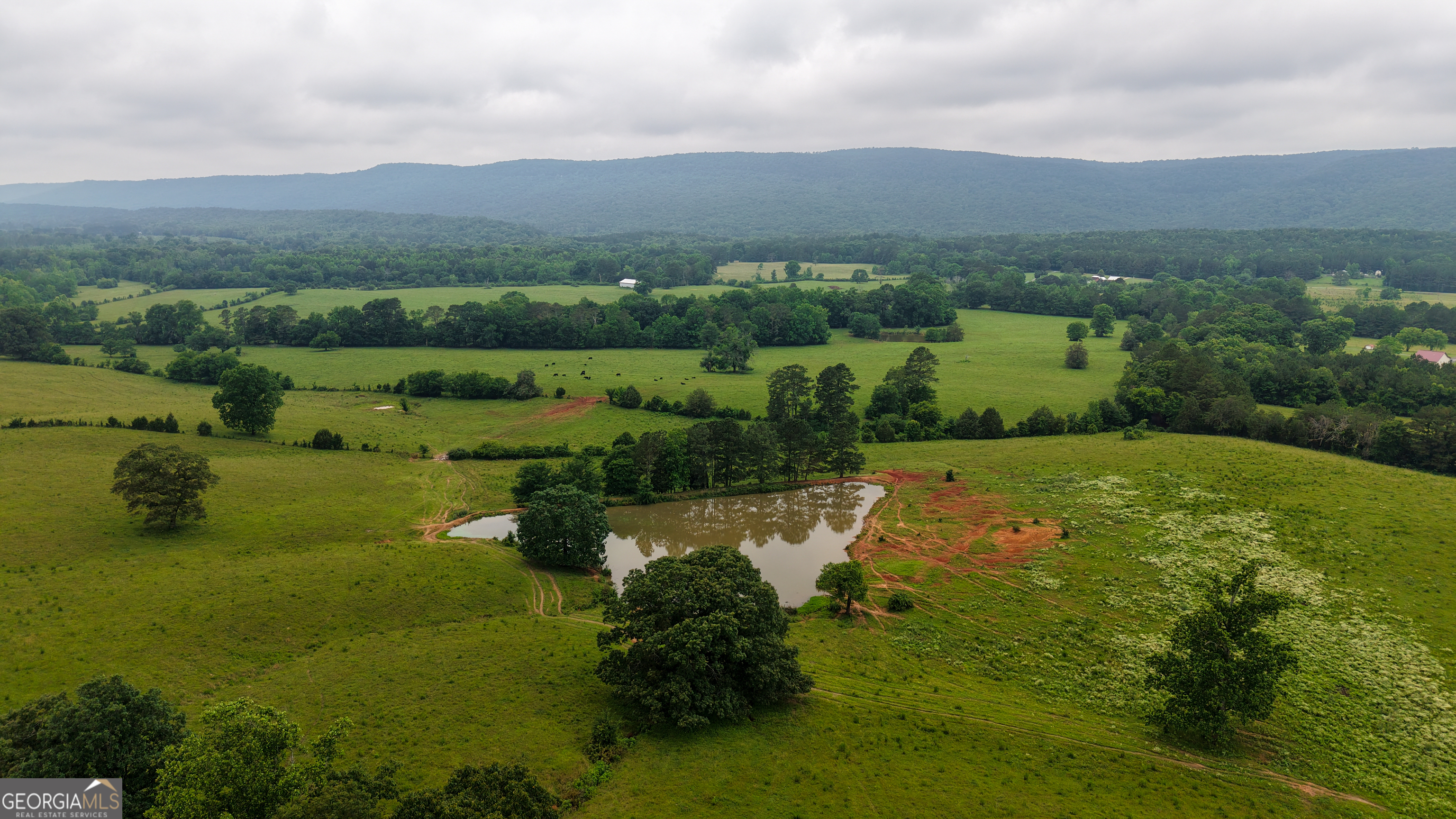 0 Co Road Gaylesville, AL 35973 - Photo 41 of 81 a view of a lake with a houses