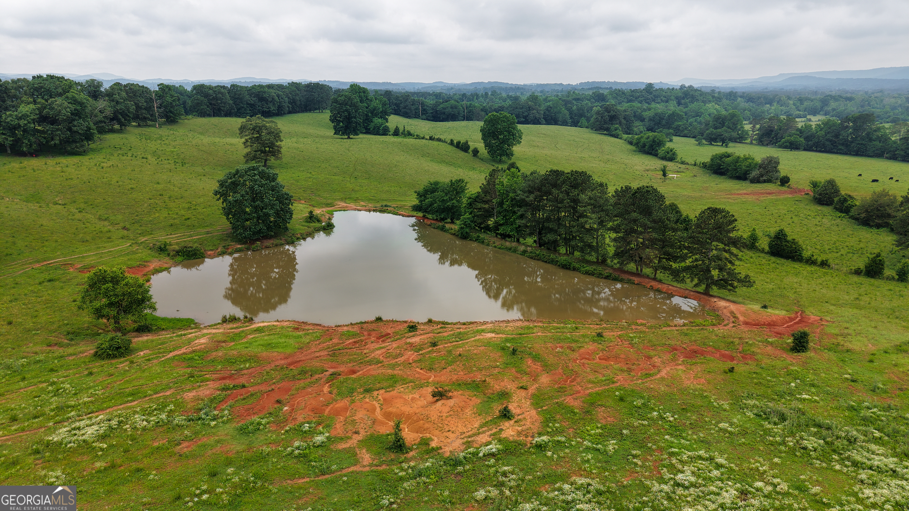 0 Co Road Gaylesville, AL 35973 - Photo 42 of 81