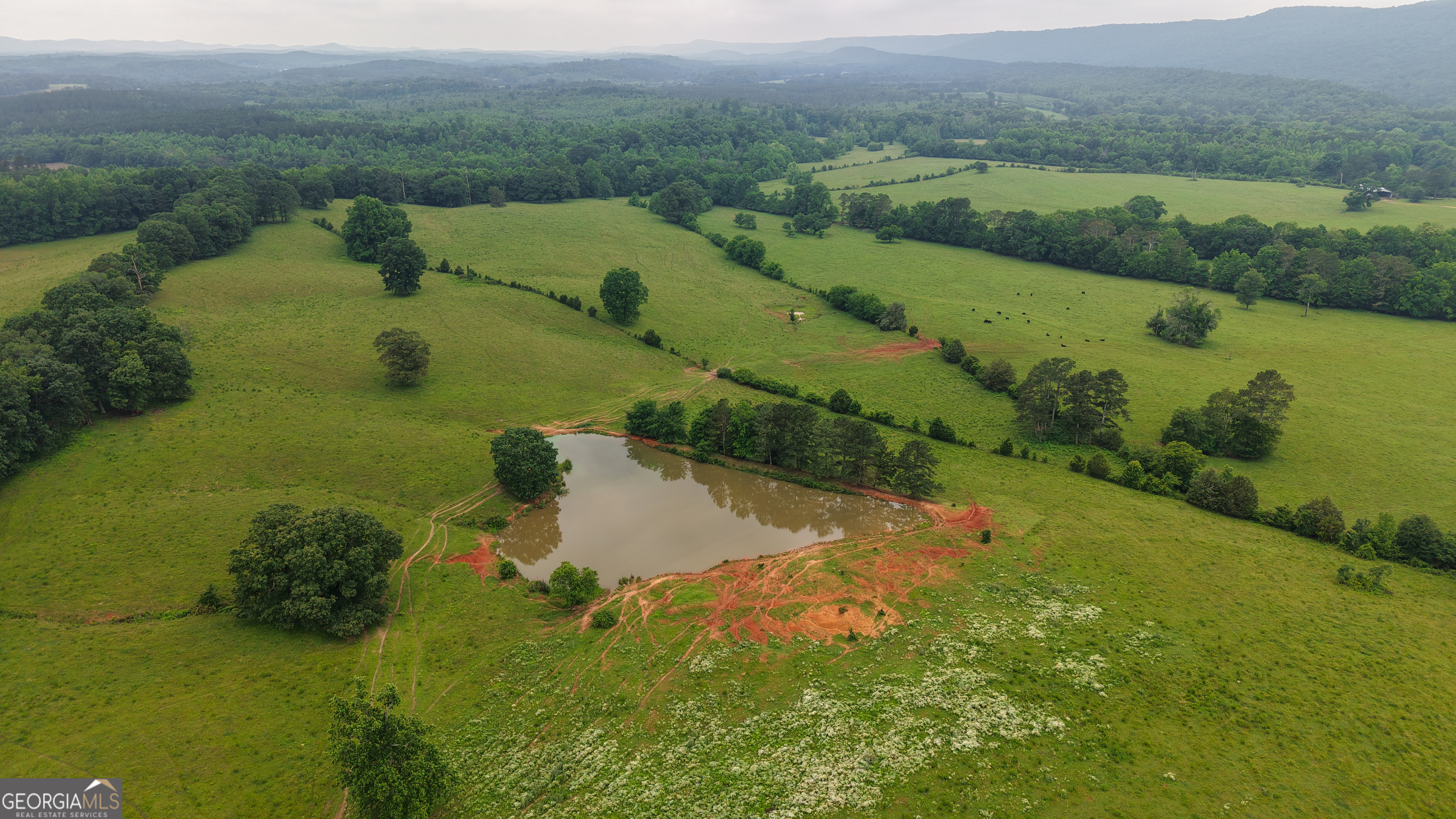 0 Co Road Gaylesville, AL 35973 - Photo 43 of 81 a view of a lake with a yard