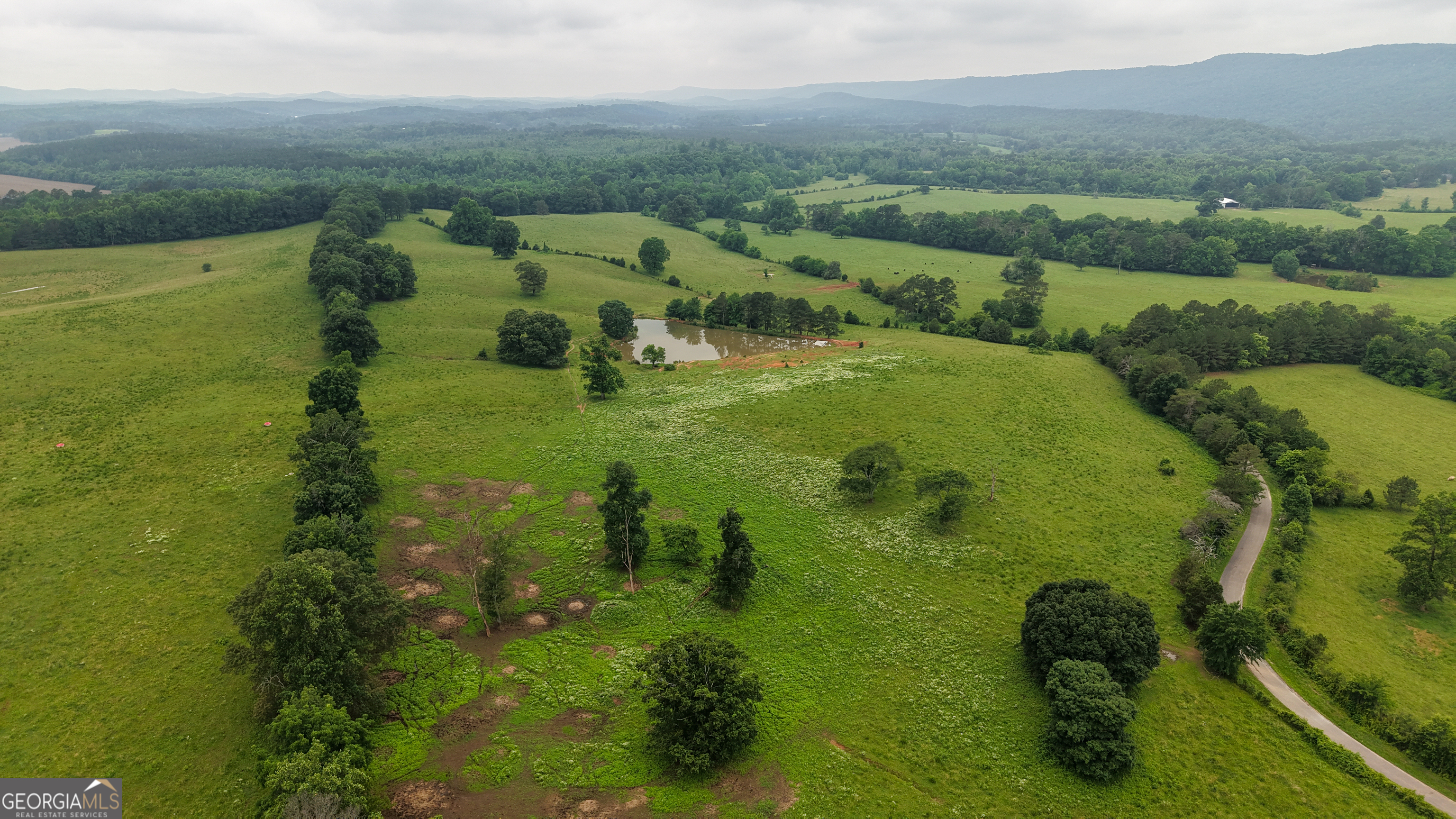0 Co Road Gaylesville, AL 35973 - Photo 44 of 81 a view of a lake with a yard